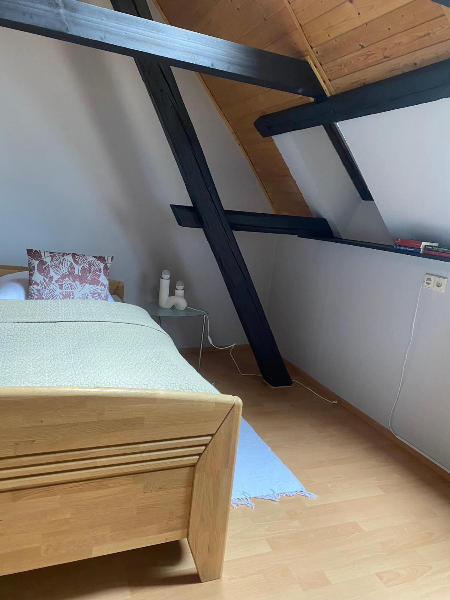 Ferienwohnung An Der Brigach โดเนาเอชิงเงน ภายนอก รูปภาพ