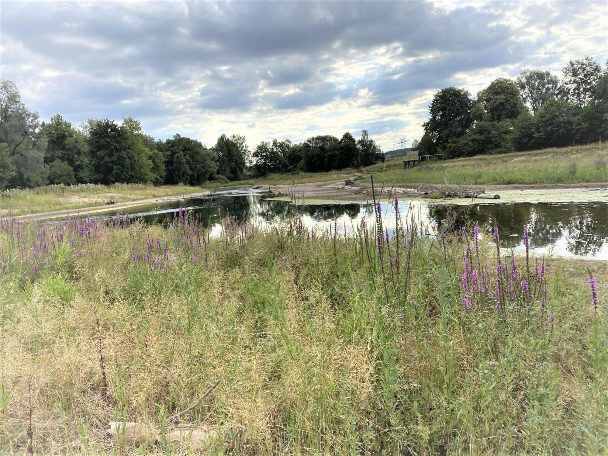 Ferienwohnung An Der Brigach โดเนาเอชิงเงน ภายนอก รูปภาพ