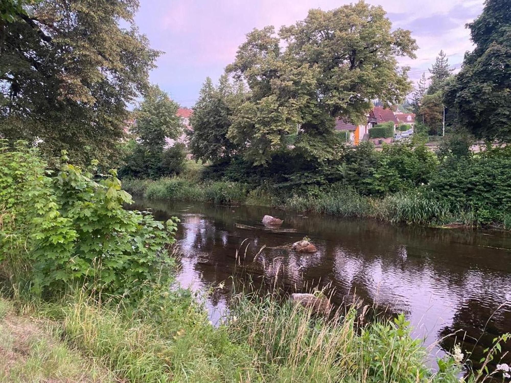 Ferienwohnung An Der Brigach โดเนาเอชิงเงน ภายนอก รูปภาพ