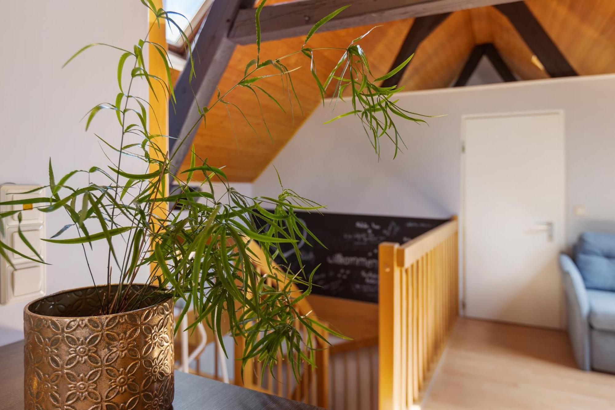 Ferienwohnung An Der Brigach โดเนาเอชิงเงน ภายนอก รูปภาพ